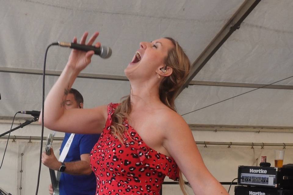 Singer 3