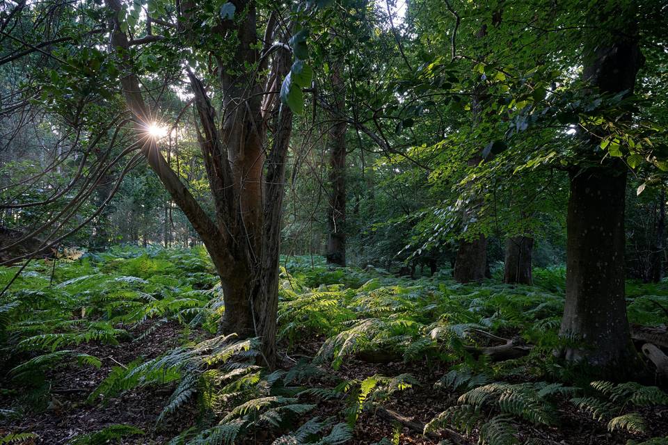 Gardens