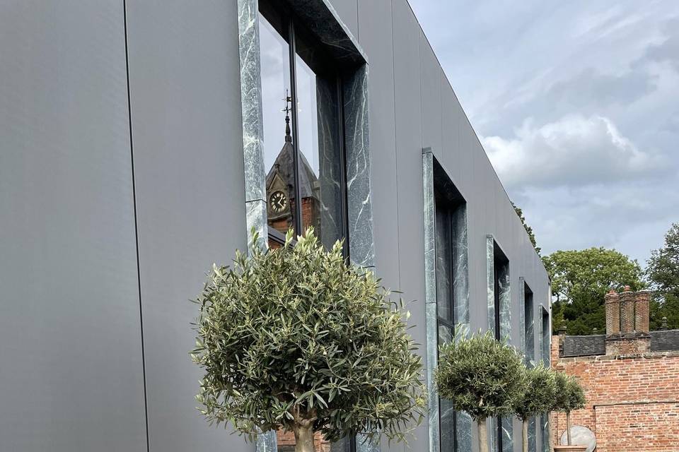 Olive Trees in Courtyard