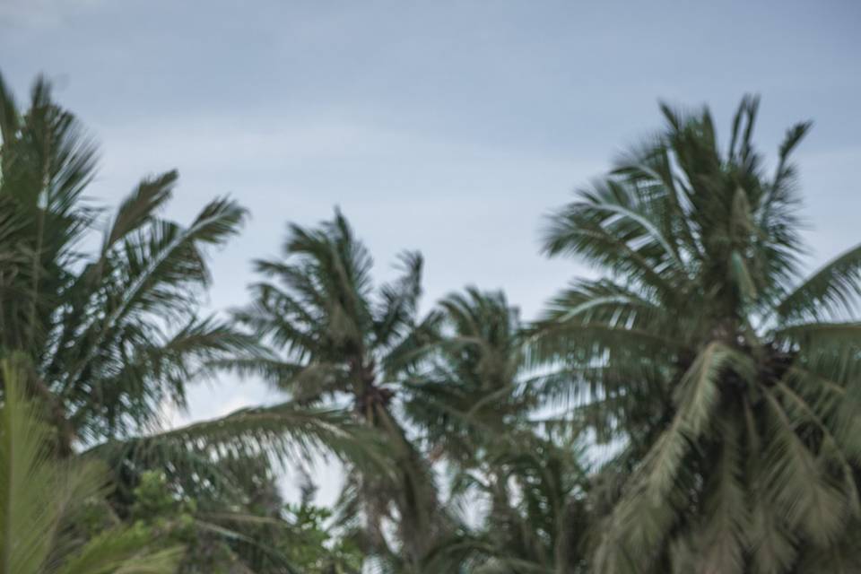 Maldives wedding