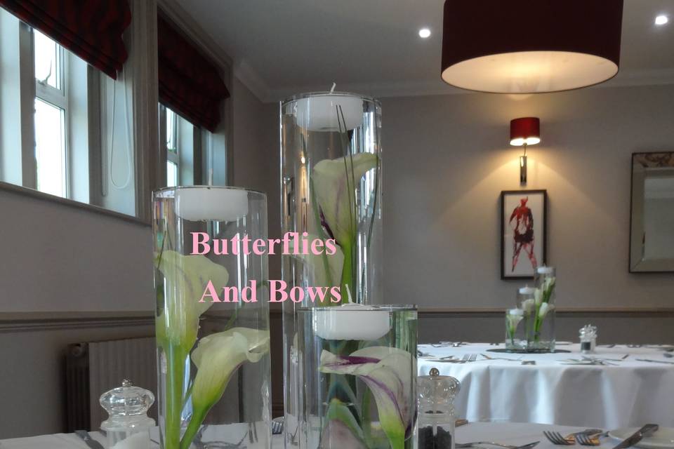 Butterflies and Bows Decorative Hire