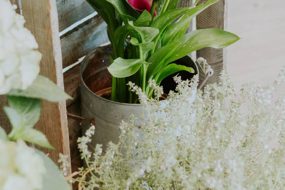 Welcome displays