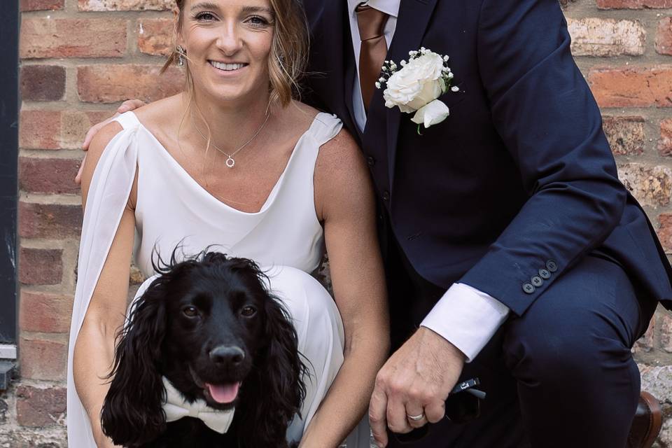 Dogs welcome