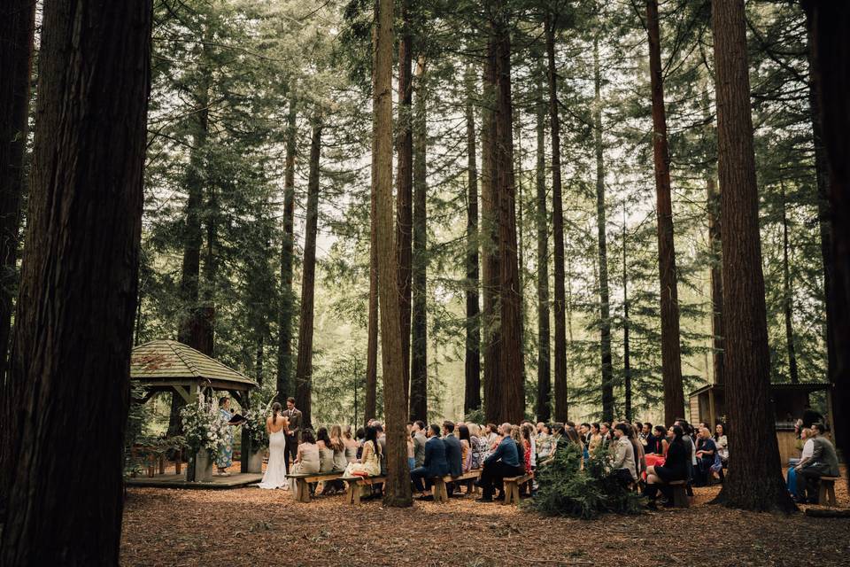 Two Woods Estate wedding