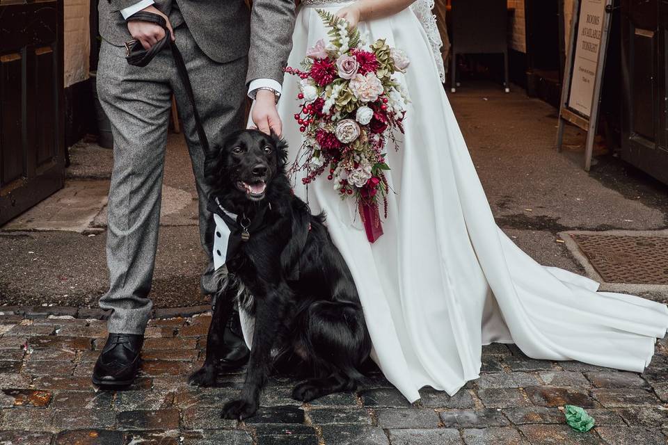 Amy & Sean & Cute doggo x