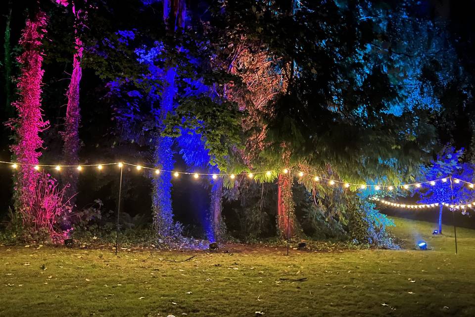 Festoon & Uplighting