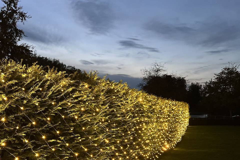 Wedding lights