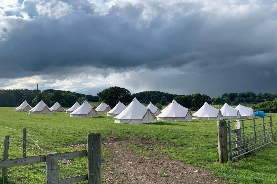 Glamping field