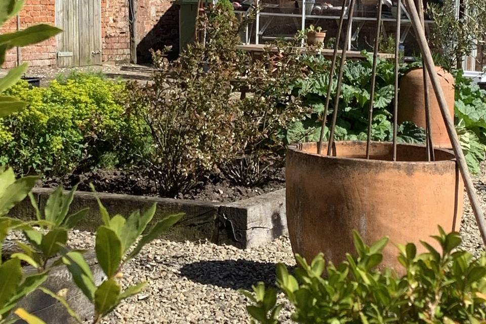 Kitchen Garden