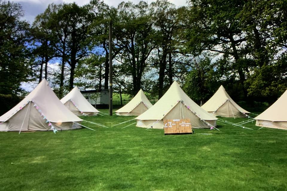 Bell tents in paddock
