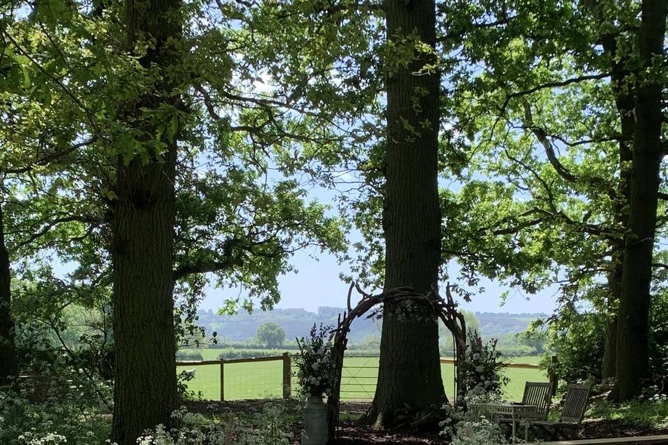 Woodland ceremony area