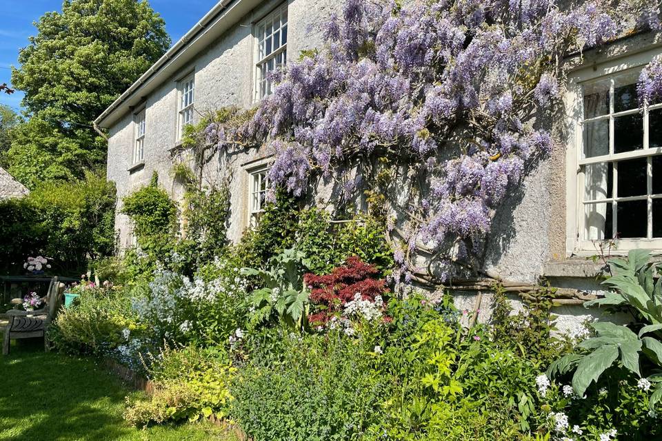 Cottage garden