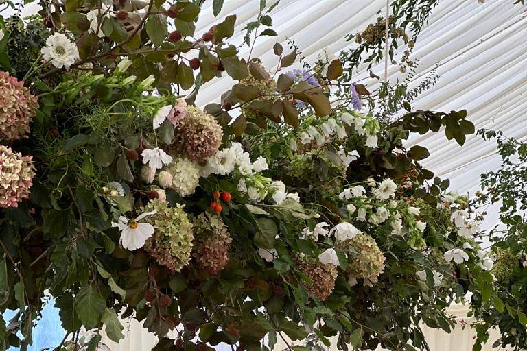 September marquee