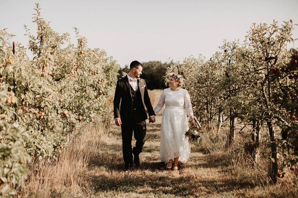 Ceremony Arch