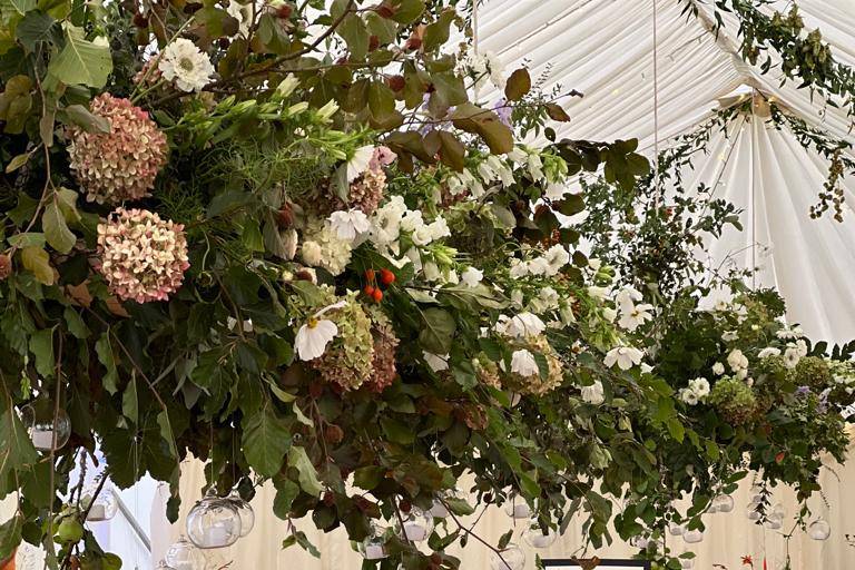 September Marquee