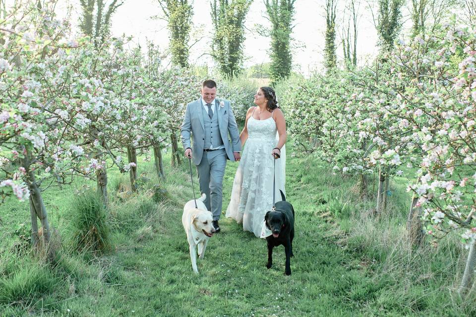 Walkies in the Orchard!