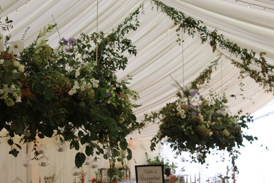 Marquee instialtions