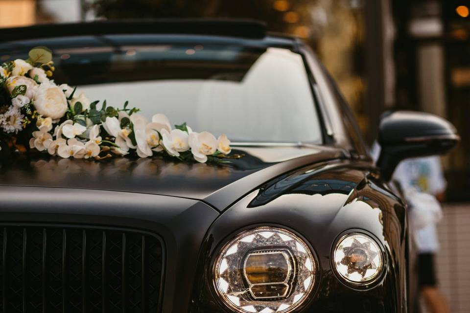 The elegant escape