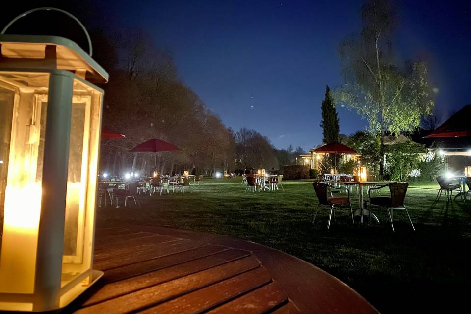 Al Fresco Meadow at Night