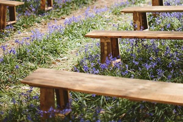 Bluebell Wood Service