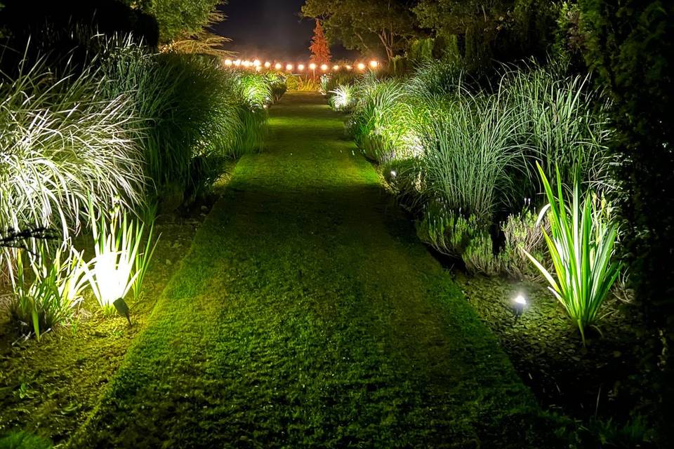 The Lavender Walk