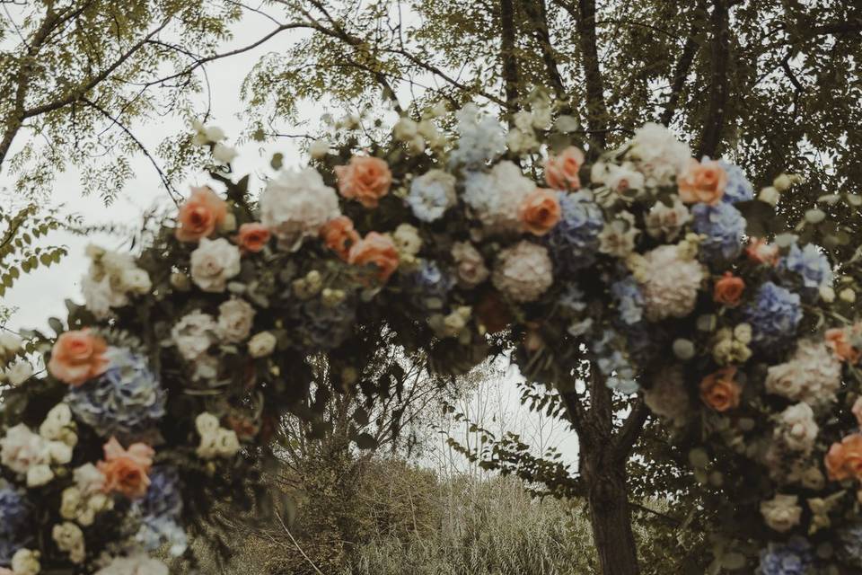 Flowers on river