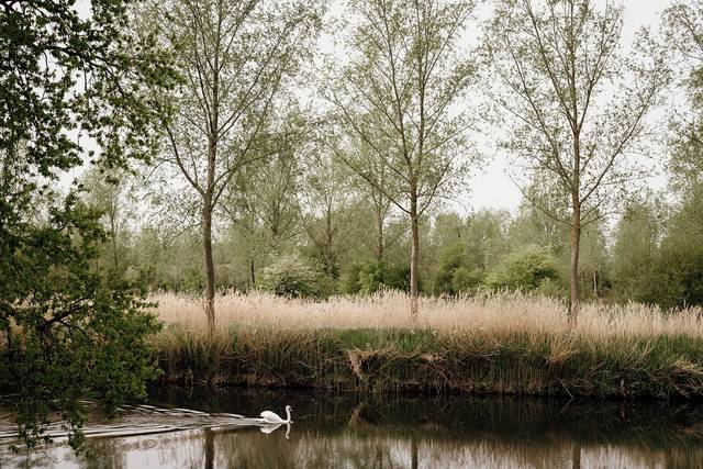 Riverside