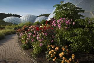 Eden Project