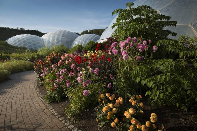 Eden Project