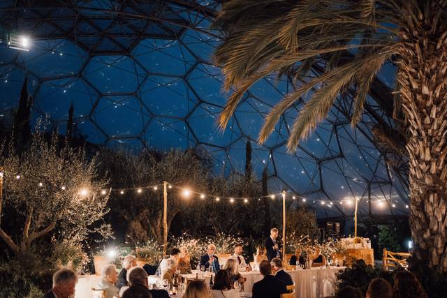 Evening in the Med biome