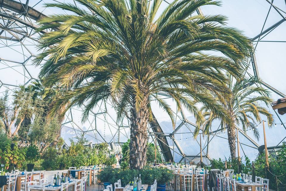 Mediterranean biome wedding