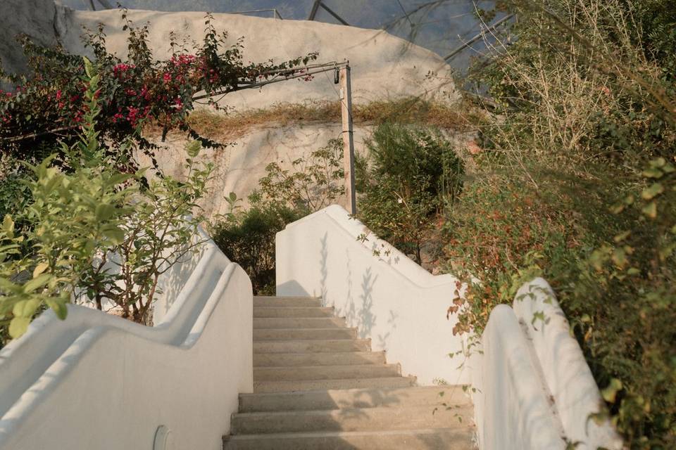 Bridal staircase to Citrus