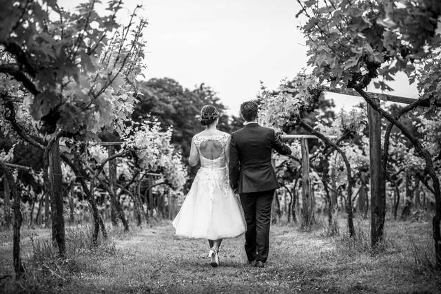 Black and White Vinyard