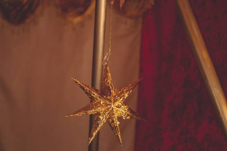 Vintage circus star