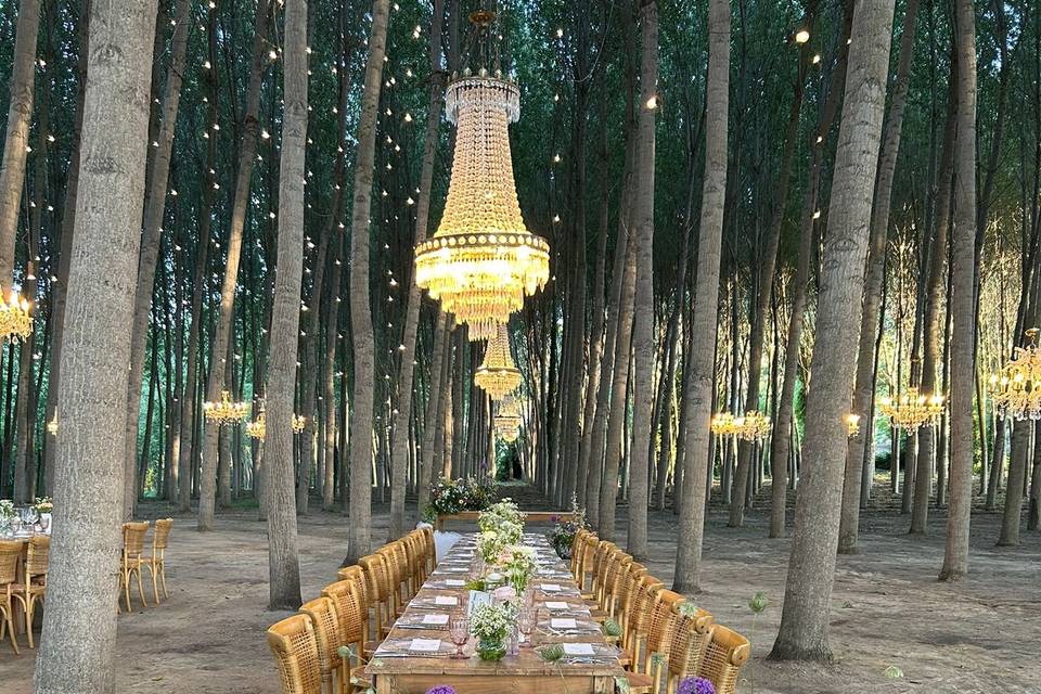GD Destination Events