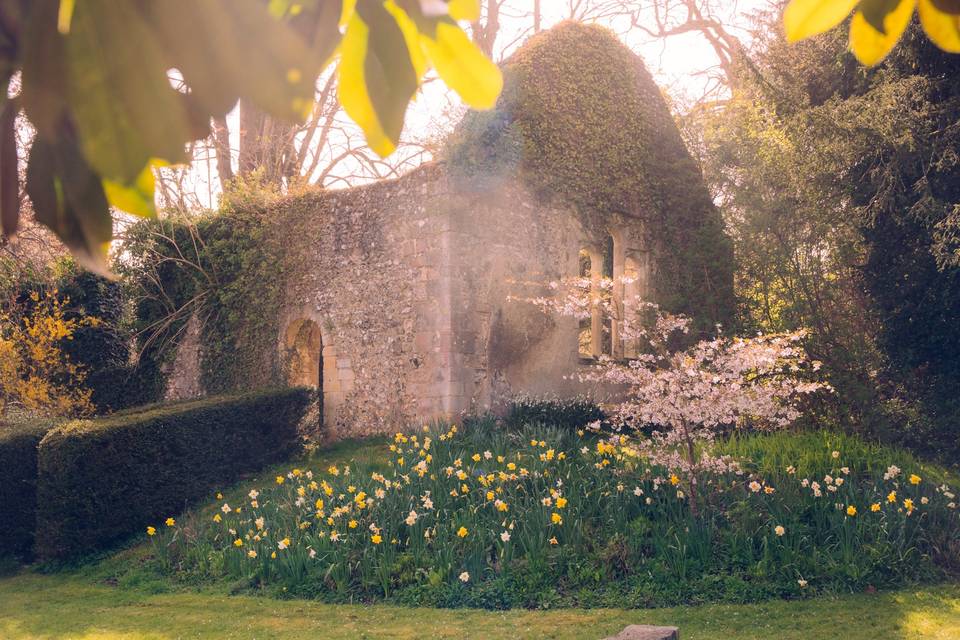 Chapel Ruins