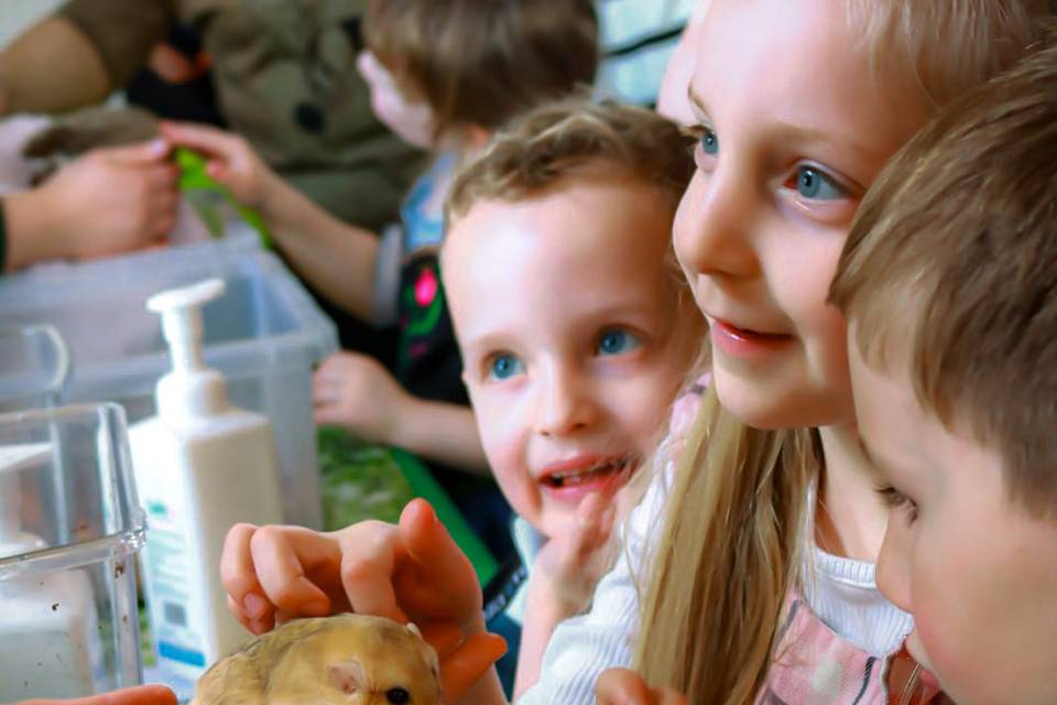 Children stroke a Duprasi