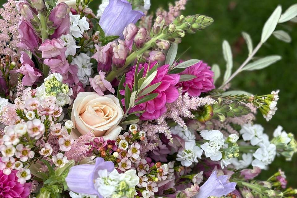 Pretty pink and purples