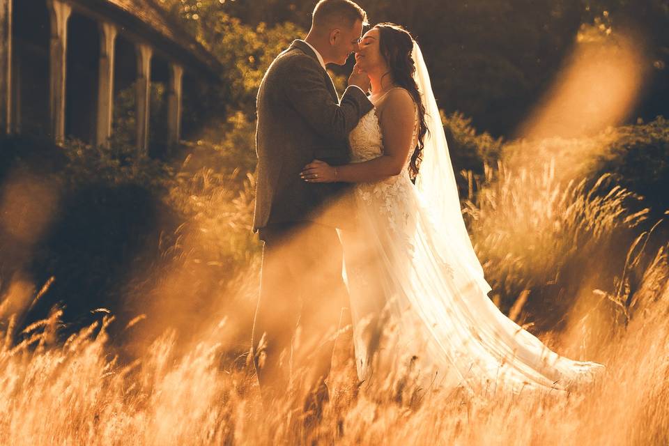 Golden Hour Beauties