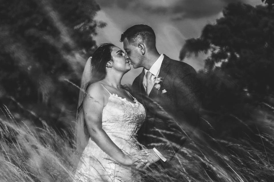 Golden hour Warren Estate