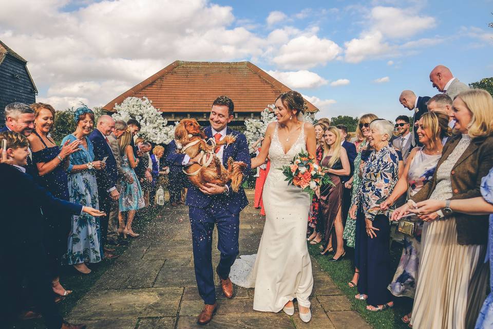 Warren Estate wedding dogs