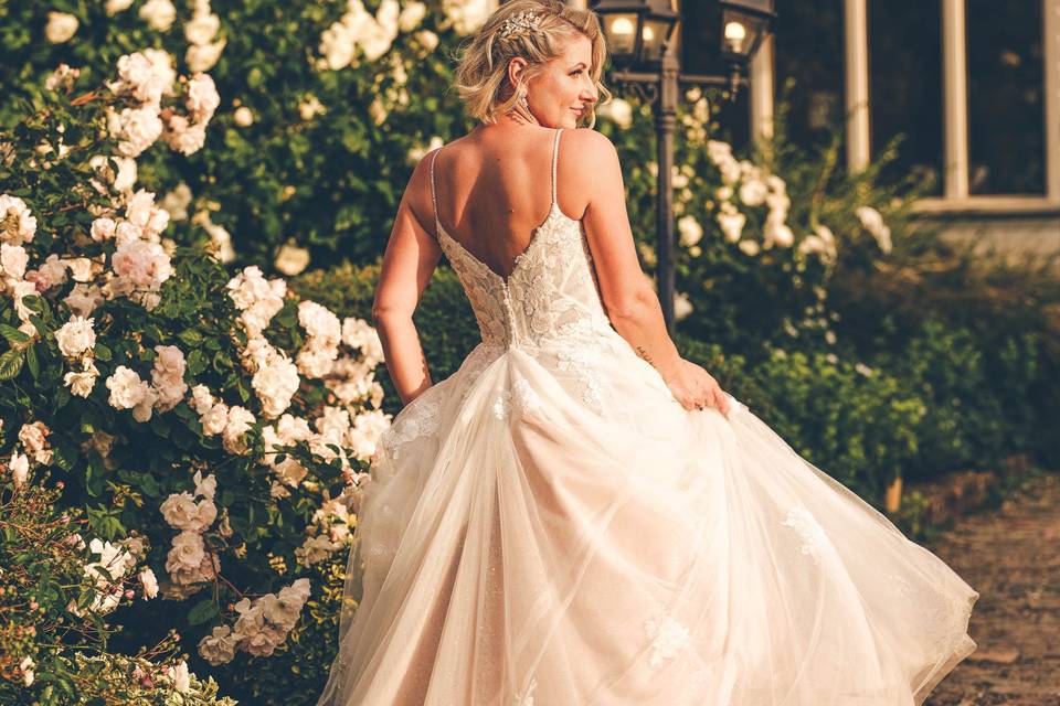 Evening light at Reid Rooms