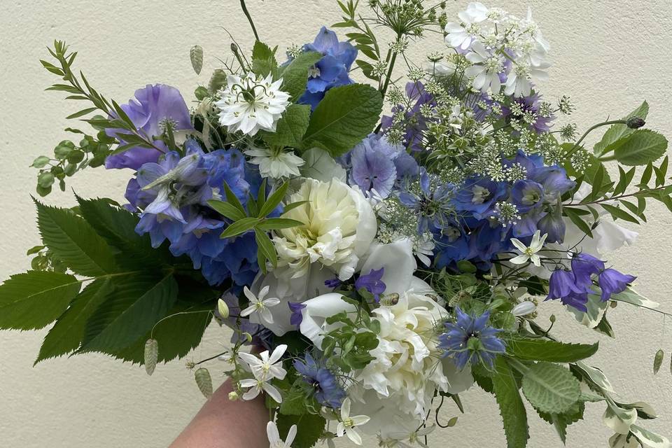 Pastel blues and whites