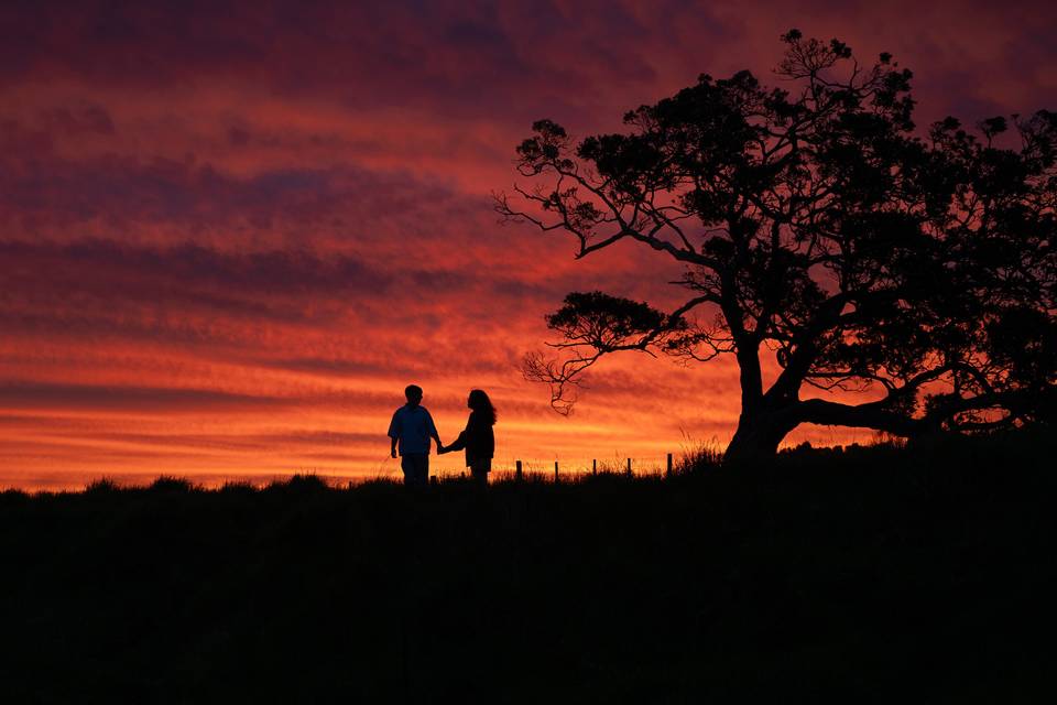 Sarah Denison Photography
