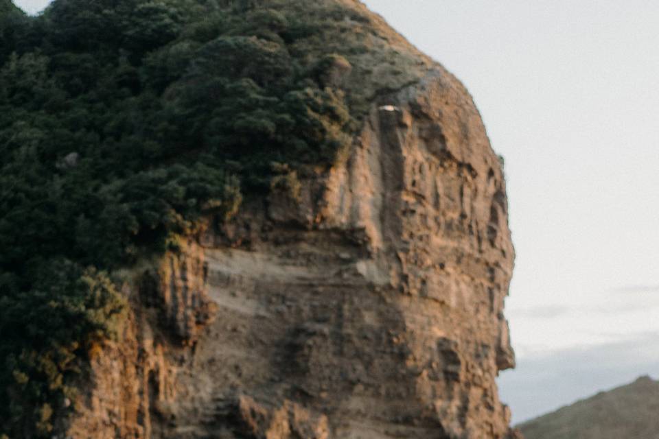 Engagement Photography