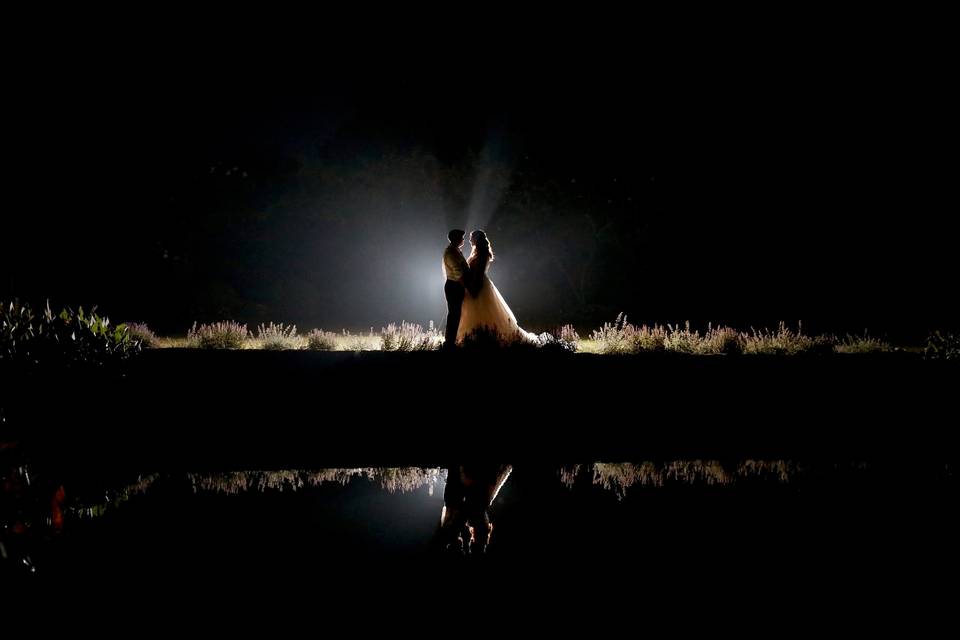 Silhouette by the pond