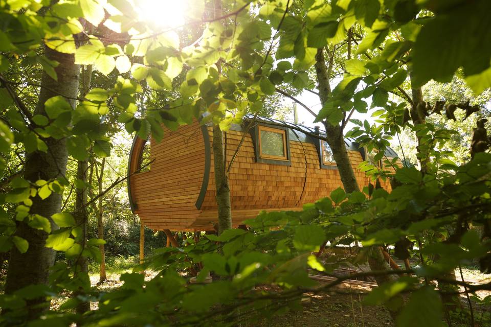 Tree house