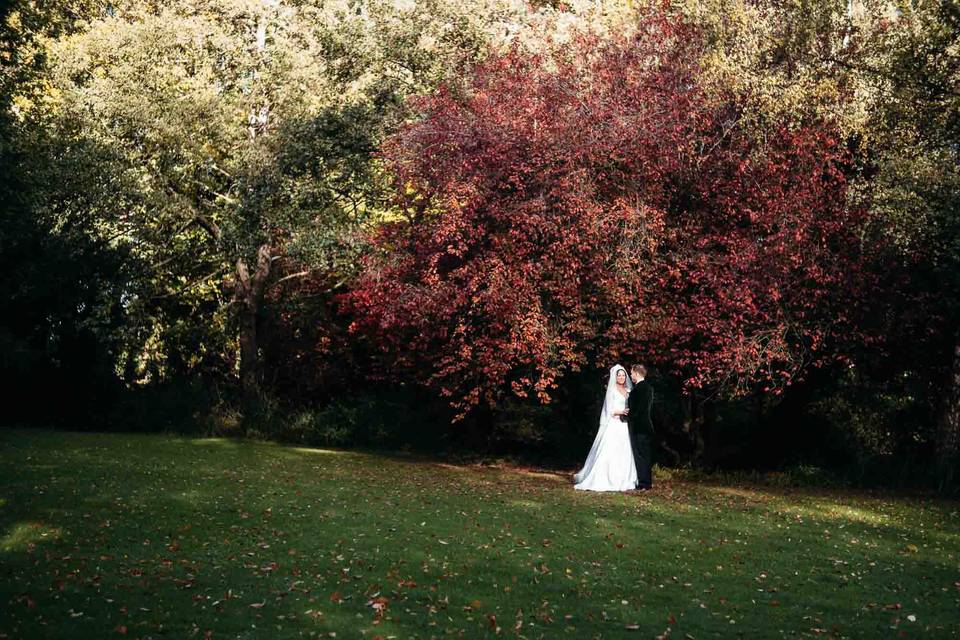 Autumn