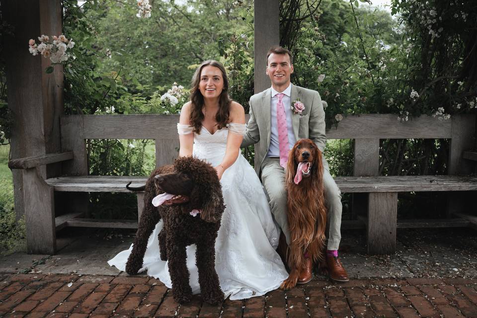 Dog love