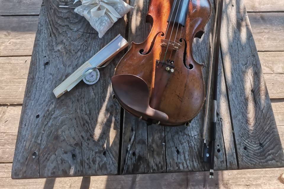 Violin for events